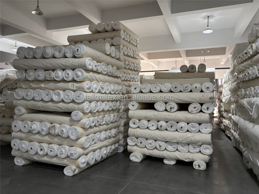 Jiaxing Factory Supplier 100% Polyester Greige Knitted Fabric Plain Style Textile Raw Material for Lining and Garments
