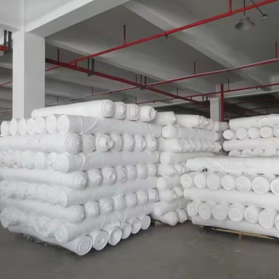 Jiaxing Factory Supplier 100% Polyester Greige Knitted Fabric Plain Style Textile Raw Material for Lining and Garments